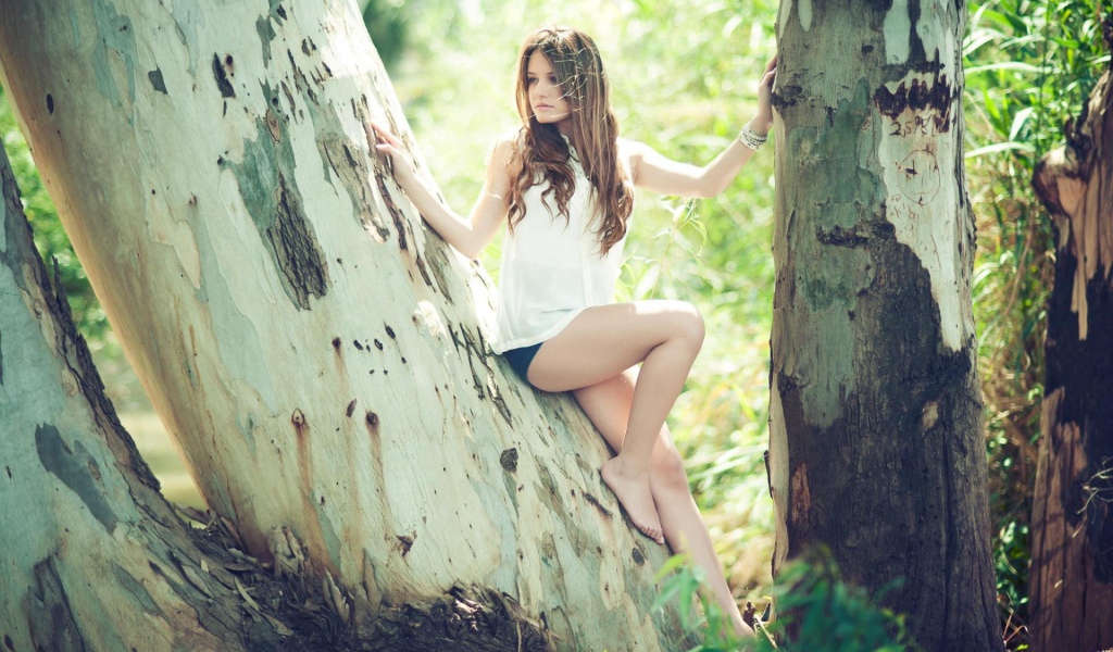 Девушка сидит на дереве