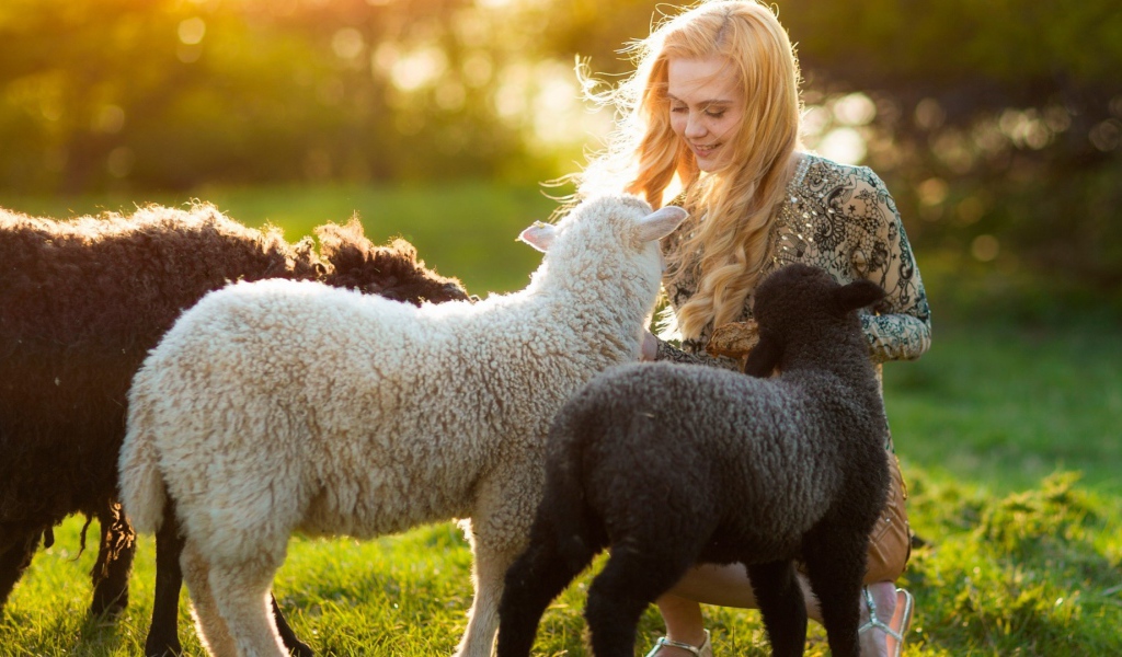 Девушка с ягнятами