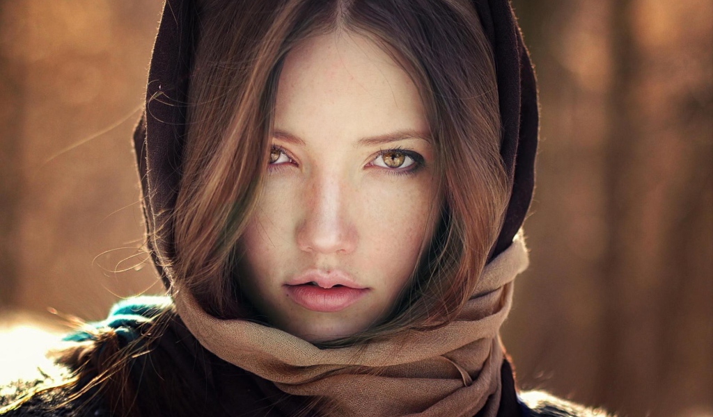 Модель Шон Арчер