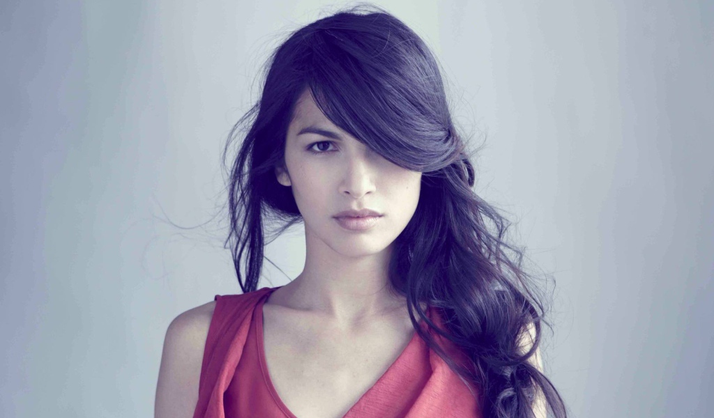 Модель Элоида Янг