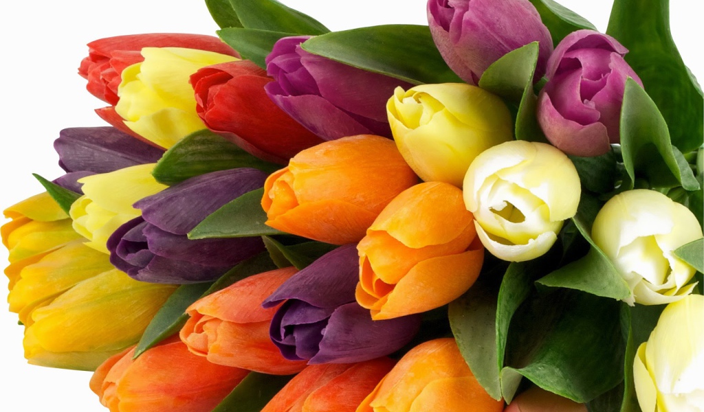 Букет из разноцветных тюльпанов на 8 марта