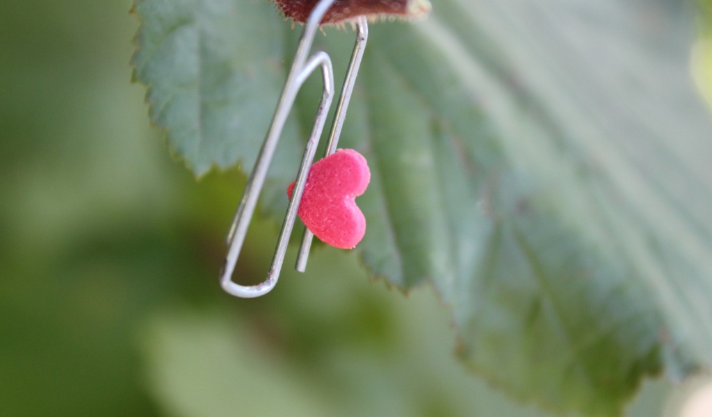 Скрепка с сердцем на зеленом листике