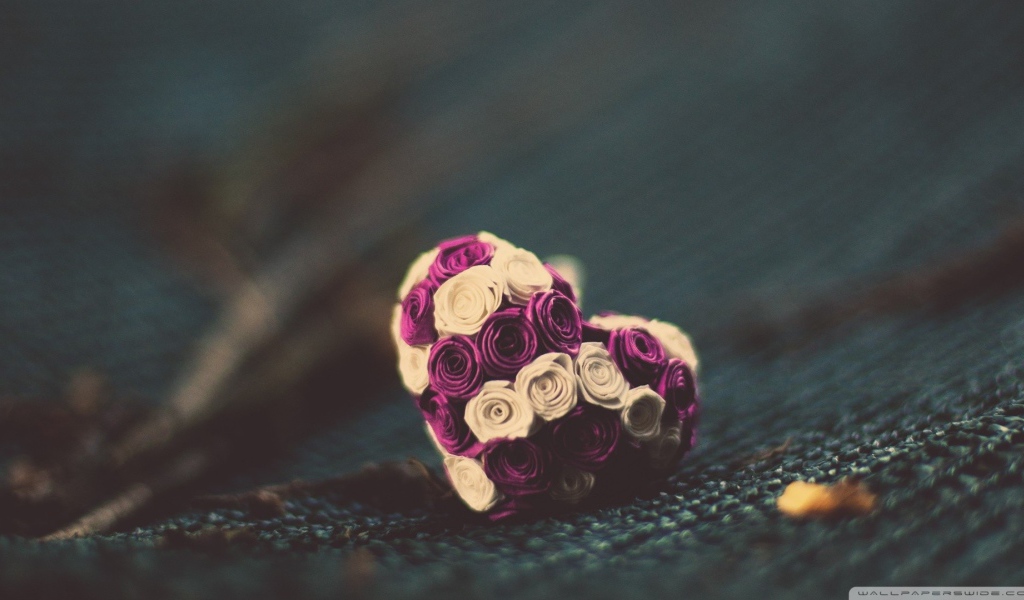 Маленькое сердце из розовых и белых цветов