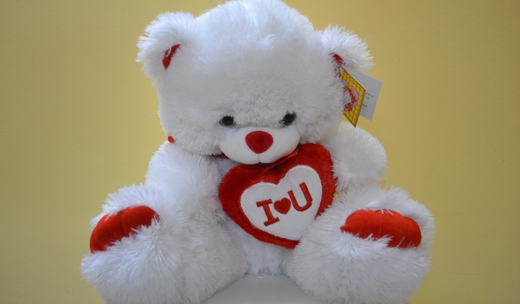 Белый медвежонок с признанием в любви