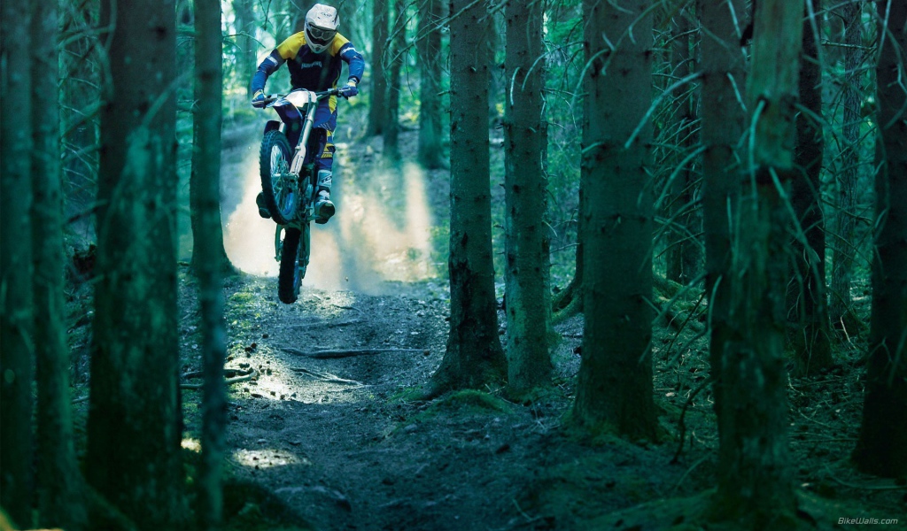 Гонщик на мотобайке в лесу