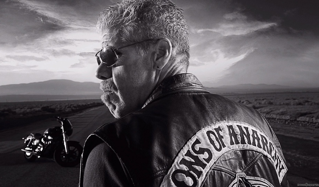 Байкер на дороге, Сыны анархии