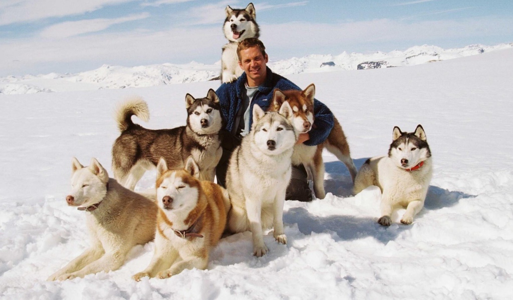 Собаки из фильма Белый плен