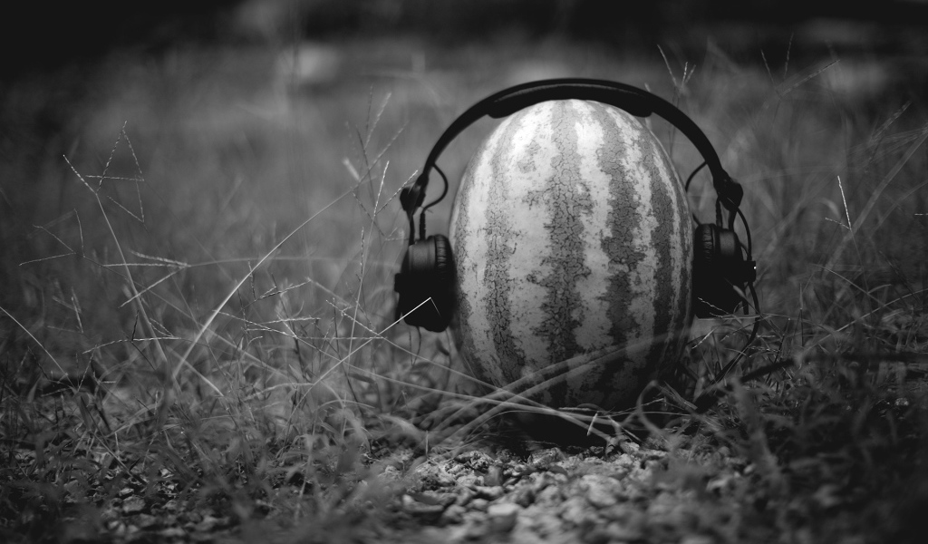 Наушники на арбузе, черно белое фото