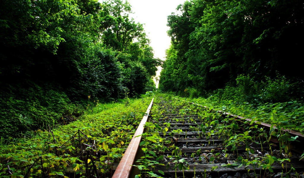 Заброшенный железнодорожный путь