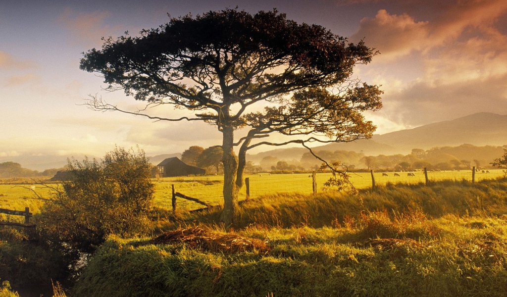 Пейзаж африканской природы