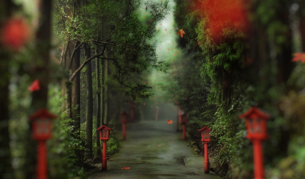 Аллея в парке с фонарями