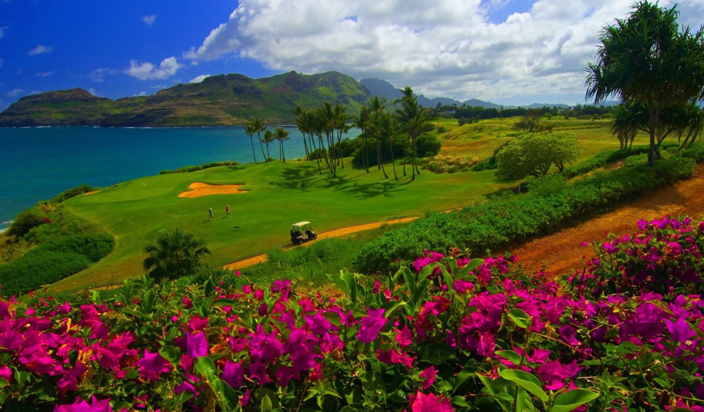 Красивый сад на песчаной почве