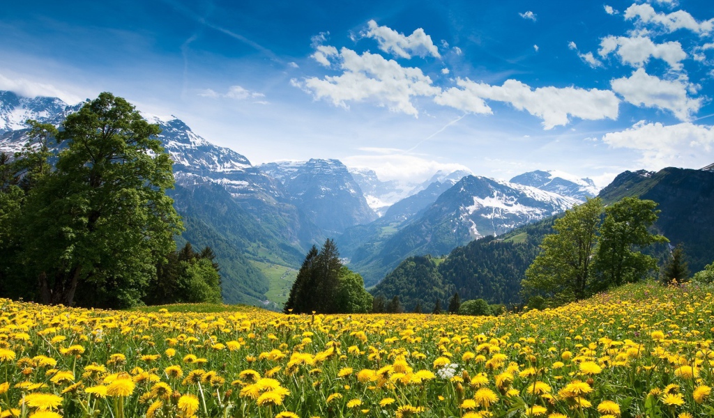 Красота украинских Карпат