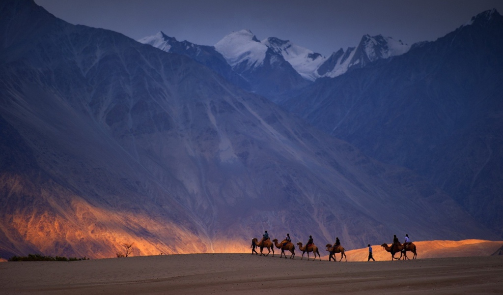 Караван верблюдов на фоне гор