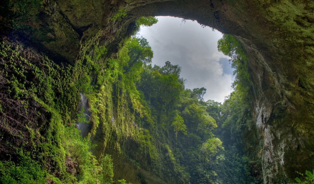 Пещера заросла зеленью изнутри