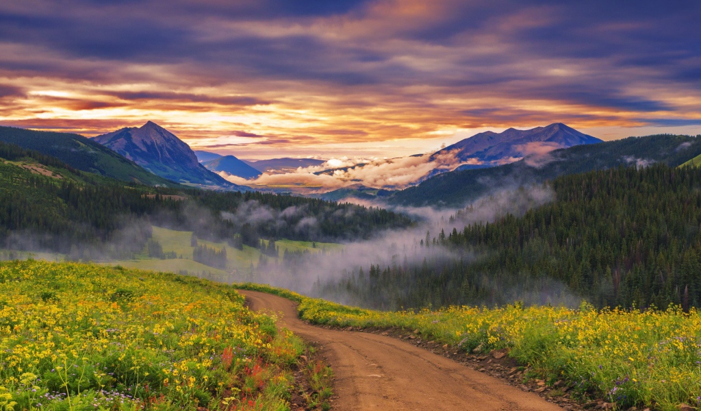 Облака опустились к вершинам деревьев