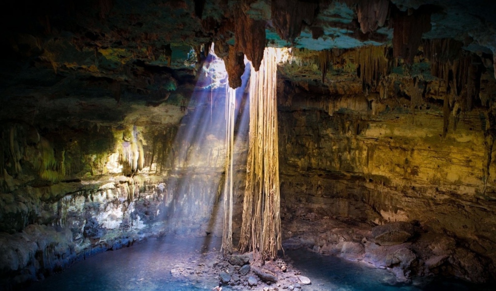 Лианы свисают с потолка пещеры