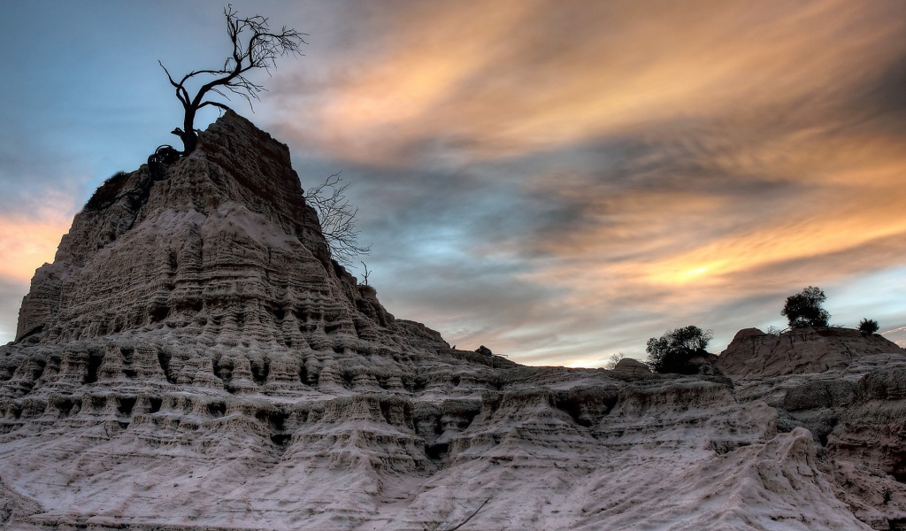 Засохшее дерево на вершине мертвой скалы