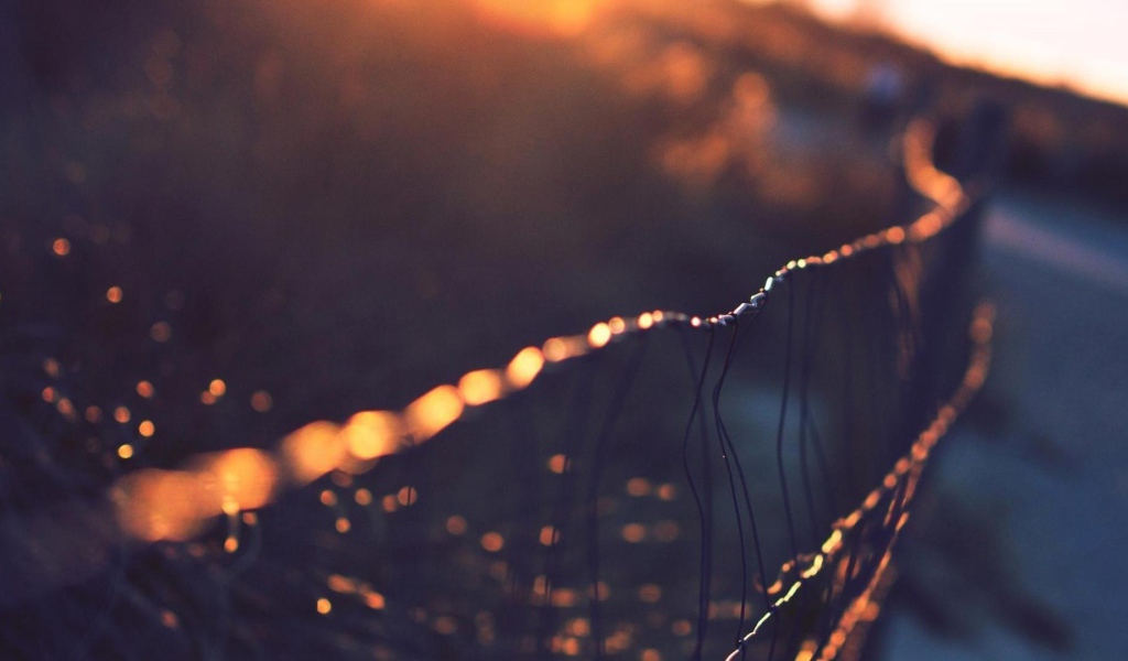 Капли росы на сетчатом заборе