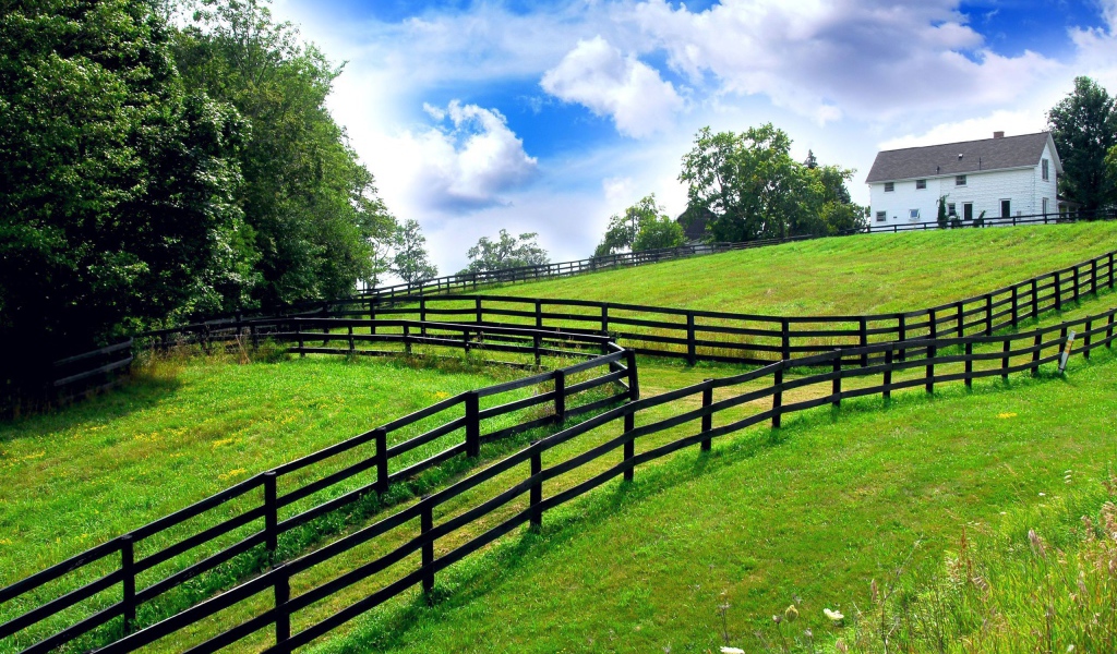 Заборы на границах участков