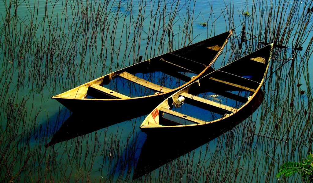 Затопленные лодки в зарослях