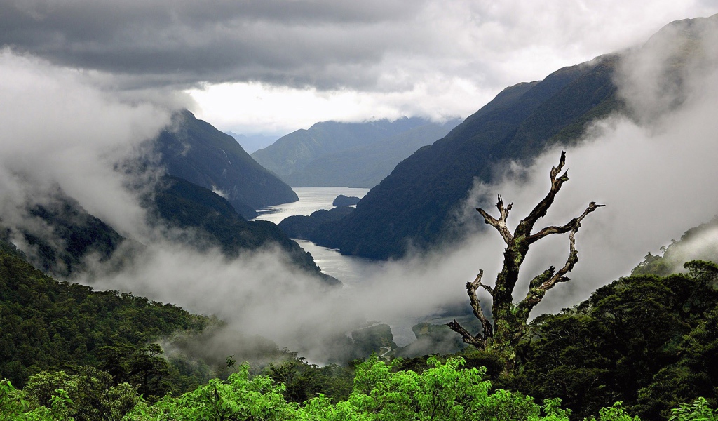Туман стелется среди холмов
