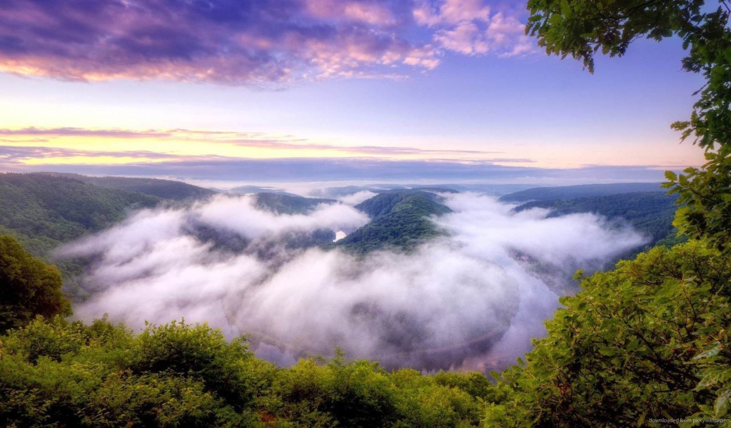 Туман над покрытыми густым лесом горами