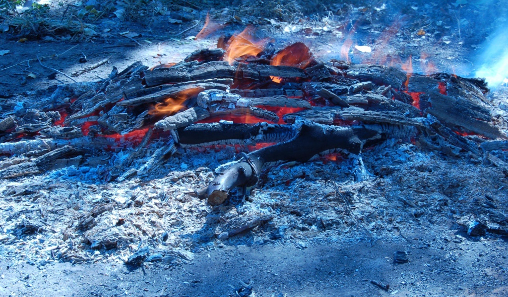 Сизые угли костра