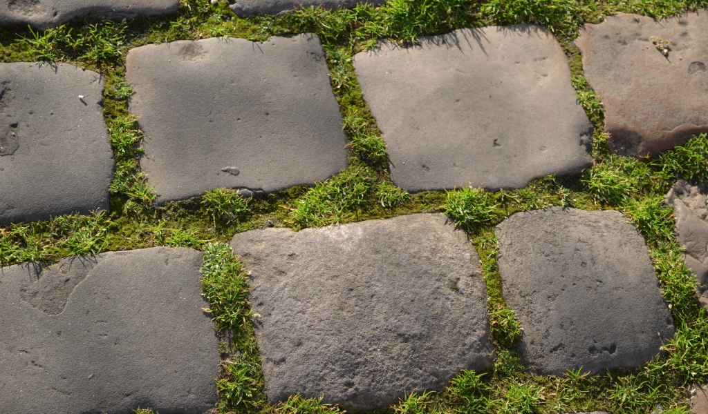 Зеленая трава между блоков брусчатки