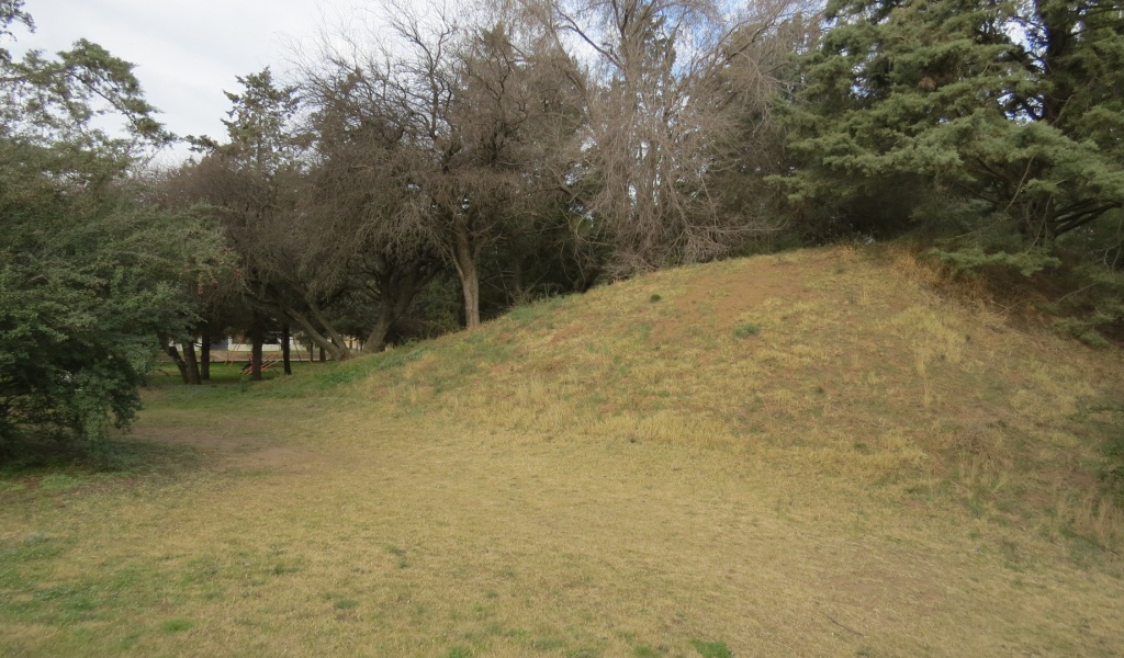 Холм с деревьями в парке