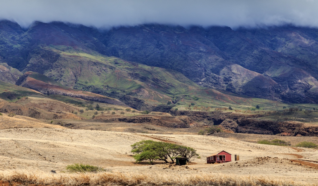 Домик у дерева в пустынной горной местности