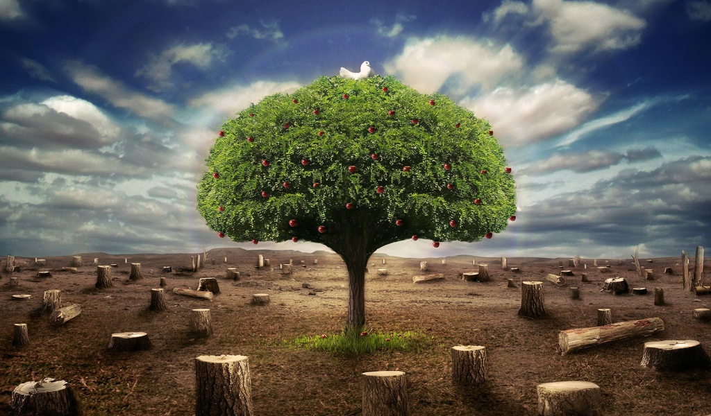 Живое дерево среди пеньков