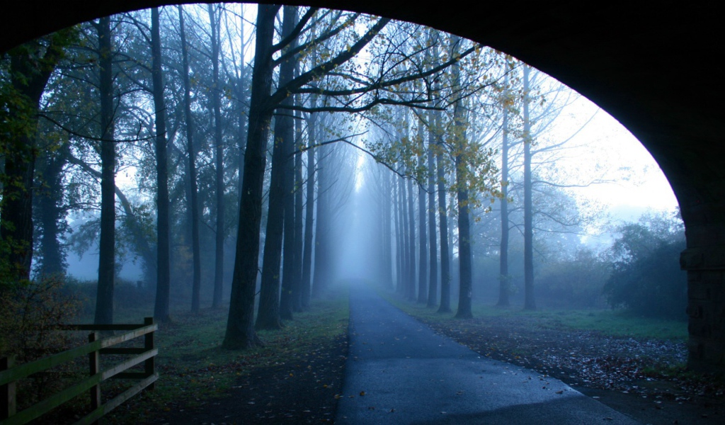 Туманная аллея у моста