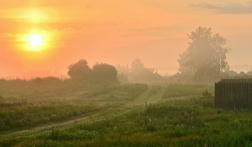 Туманный рассвет в деревне