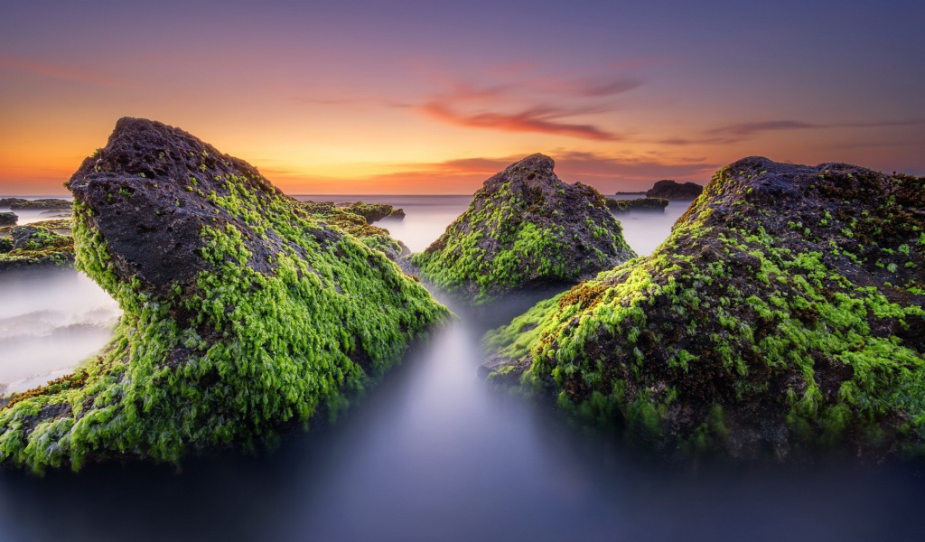 Поросшие мхом скалы в тумане