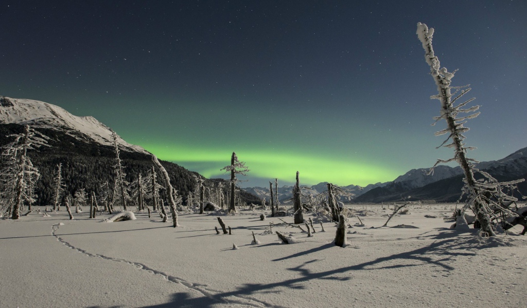 Северное сияние над снежной пустыней