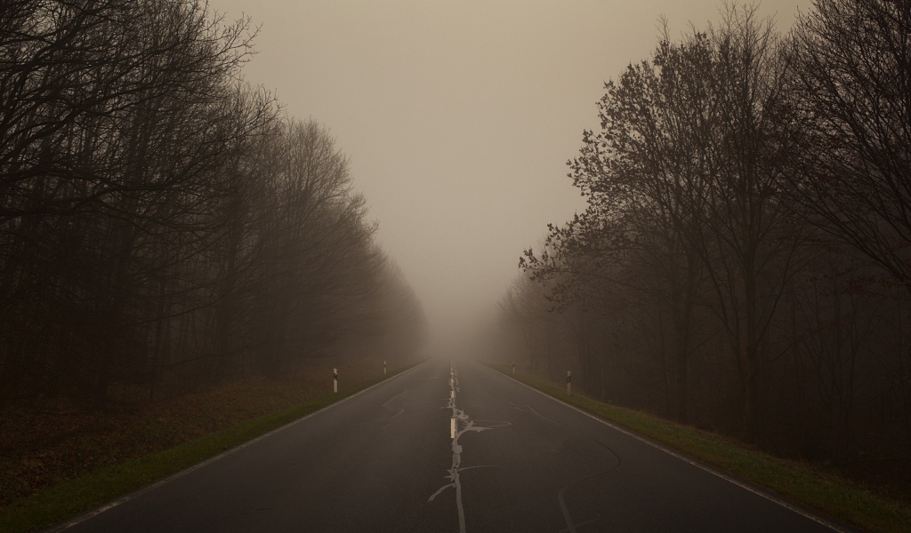 Плохая видимость на дороге