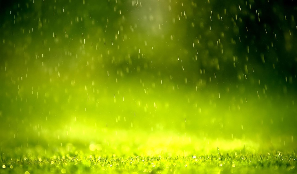 Дождь в зеленой дымке