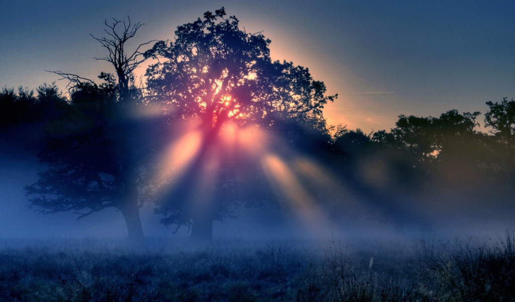 Красные лучи солнца в тумане