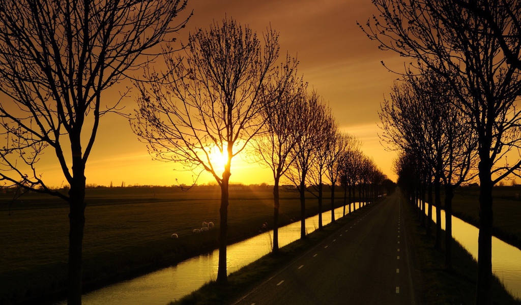 Дорога с каналами по краям