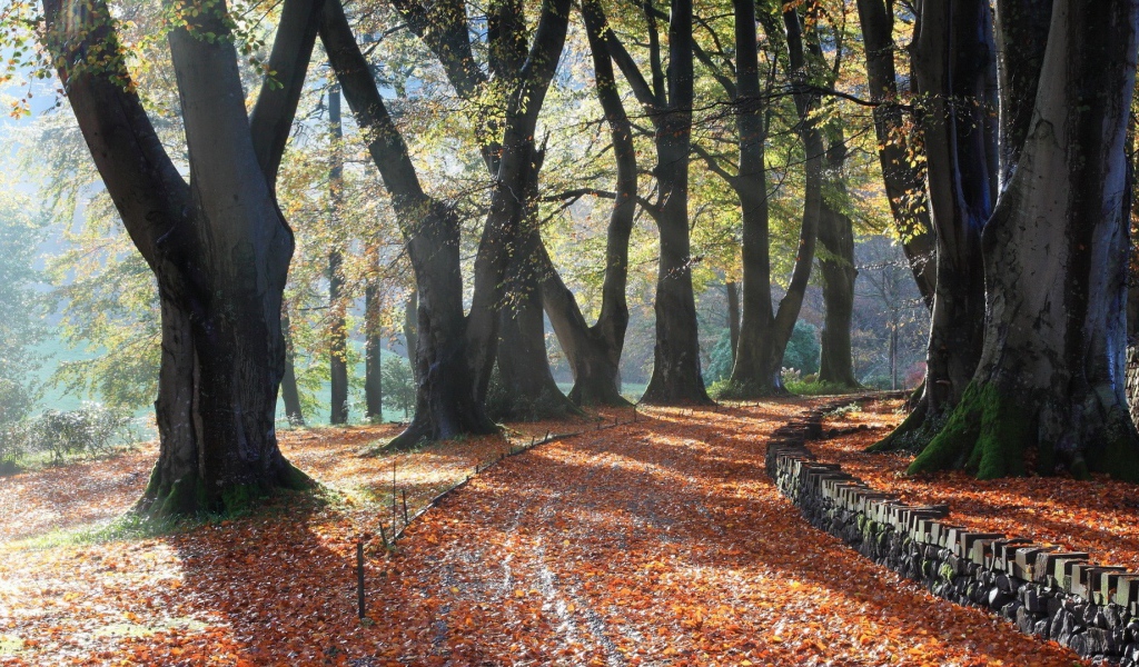Поворот аллейки, усыпанной листьями