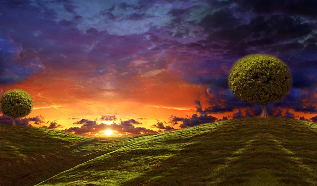 Круглые кроны деревьев на вершинах холмов