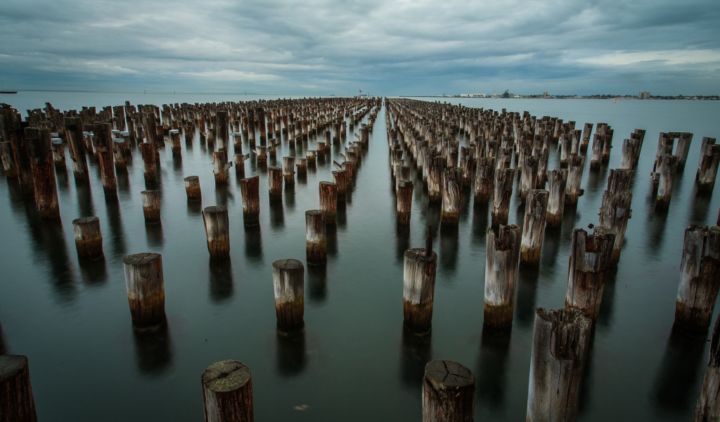 Ряды деревянных свай в воде
