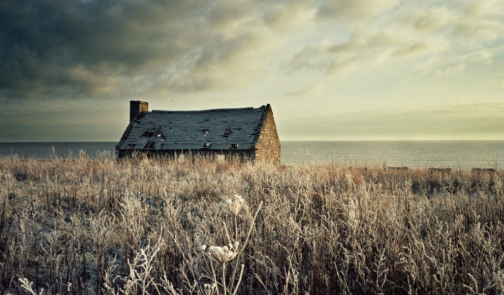 Разрушенный дом на засохшем поле