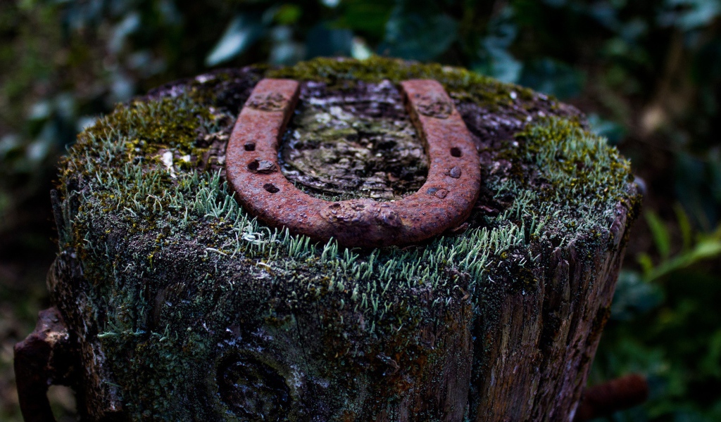 Ржавая подкова на пеньке