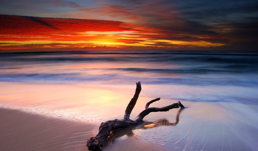 Коряга на белом песке пляжа на закате