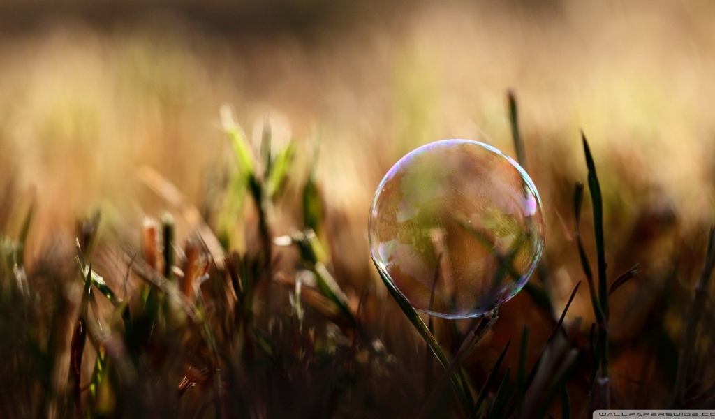 Мыльный пузырь на травинке