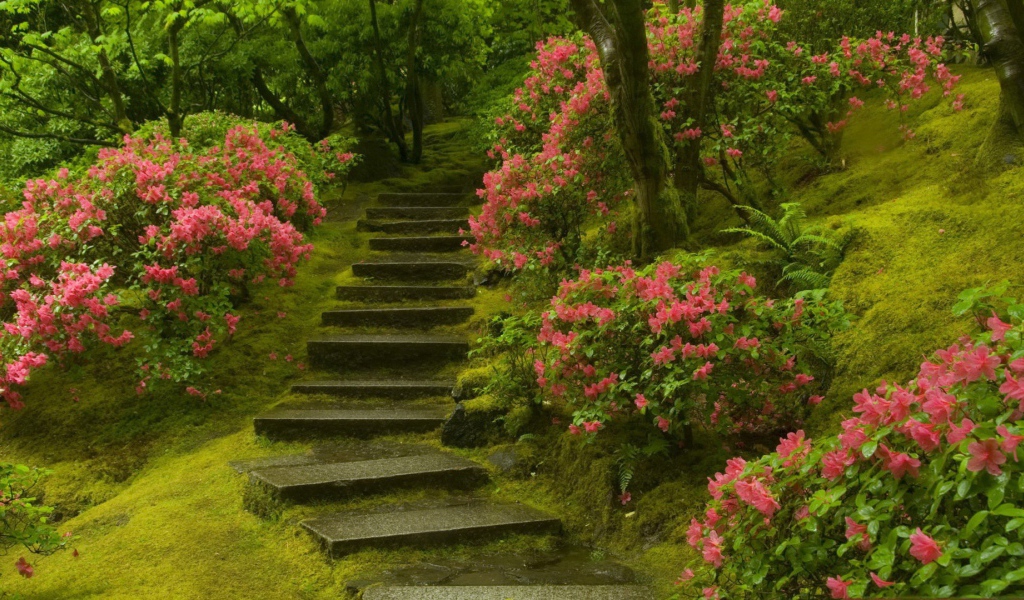 Каменная лестница в цветущем саду