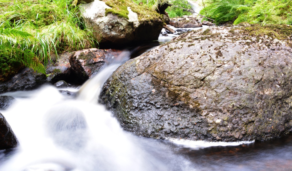 Ручей среди покрытых мхом камней