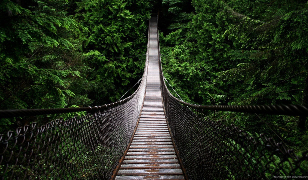 Подвесной мост на канатах